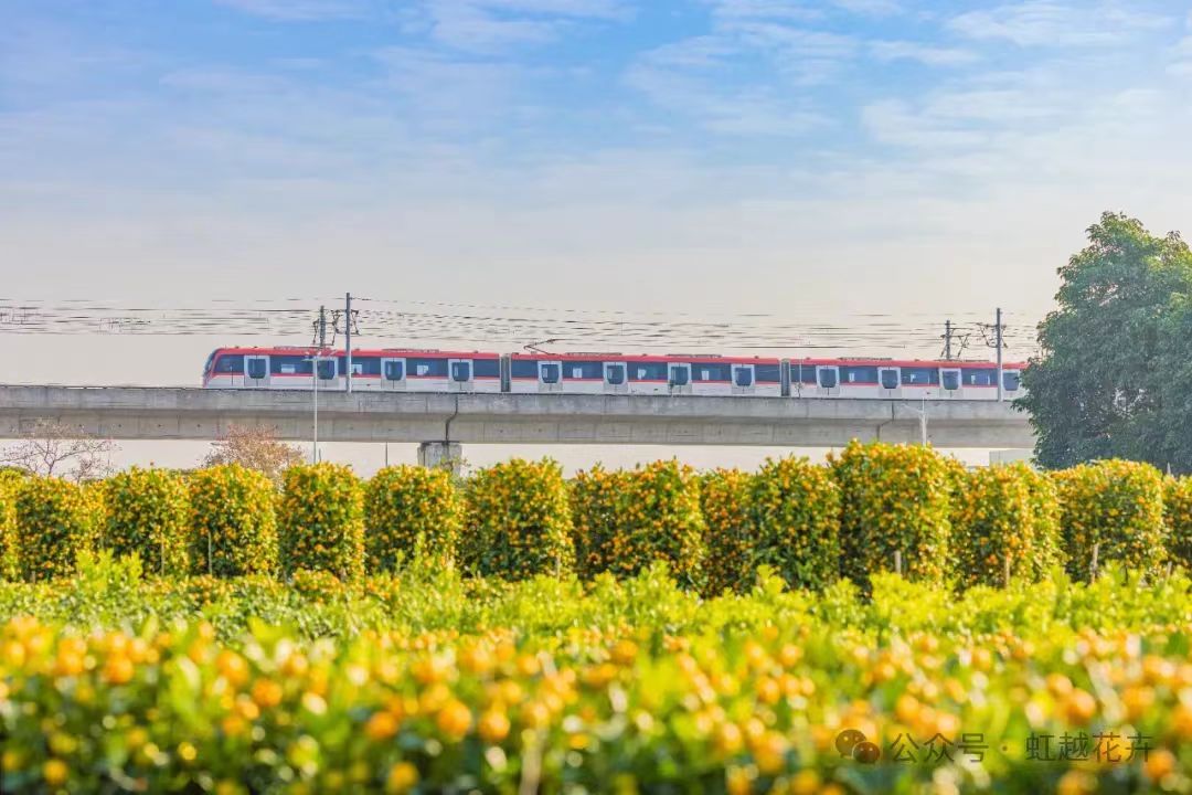 3月又有新花展！還有園藝大咖齊聚，解鎖美麗生活新方式